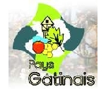 Logo de pays Gâtinais